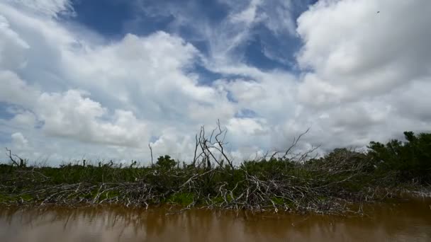 Timelapse van wolkenvorming boven Eco Pond in Everglades National Park 4K. — Stockvideo