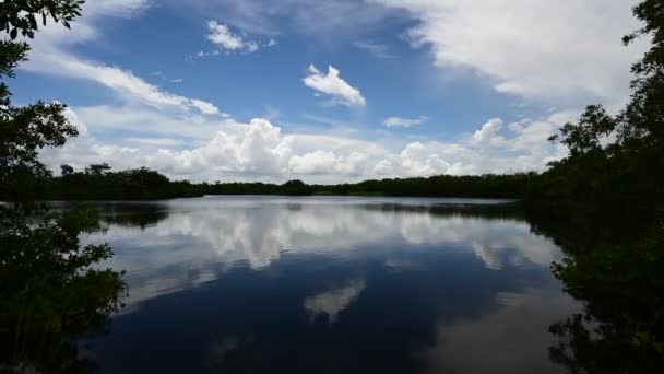 Včasná formace mraků nad rybníkem Paurotis v národním parku Everglades 4K. — Stock video