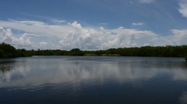 Everglades Ulusal Parkı 4K 'daki Paurotis Pond üzerinde bulut oluşumu zamanı.