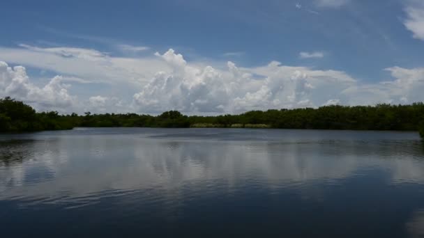 Zeitraffer der Wolkenbildung über Paurotis Pond im Everglades National Park 4K. — Stockvideo