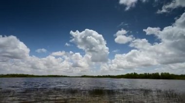 Everglades Ulusal Parkı 'ndaki Nine Mile Pond üzerinde bulut oluşumu zamanı 4K.
