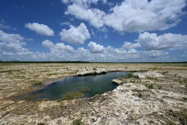Everglades Ulusal Parkı 'ndaki Delikte Çözüm Deliği Restorasyon Bölgesi.