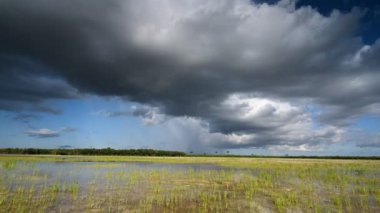 Everglades Ulusal Parkı 4K 'daki Delikli Donut bölgesindeki bulutların zamanı.