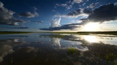 Everglades Ulusal Parkı 4K 'daki Delikli Donut bölgesindeki bulutların zamanı.