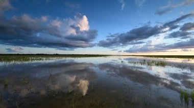 Everglades Ulusal Parkı 4K 'daki Delikli Donut bölgesindeki bulutların zamanı.