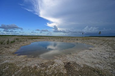Everglades Ulusal Parkı 'ndaki habitat yenileme projesi üzerine yaz bulutları.