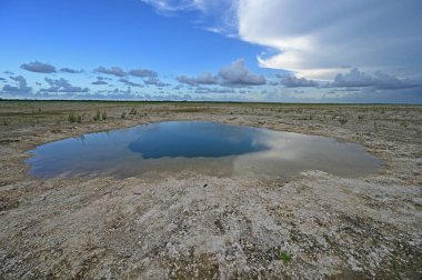 Everglades Ulusal Parkı 'ndaki habitat yenileme projesi üzerine yaz bulutları.