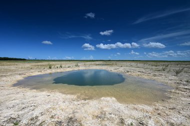 Everglades Ulusal Parkı 'ndaki habitat yenileme projesi üzerine yaz bulutları.