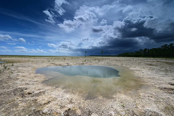 Summer cloudscape over habitat restoration project in Everglades National Park.