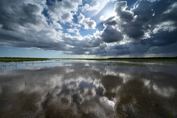 Summer cloudscape over habitat restoration project in Everglades National Park.