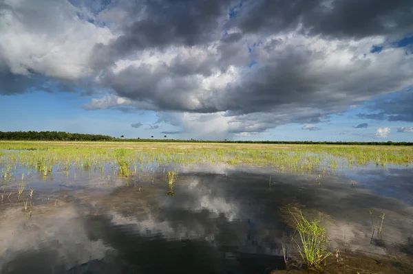 Summer cloudscape over habitat restoration project in Everglades National Park.