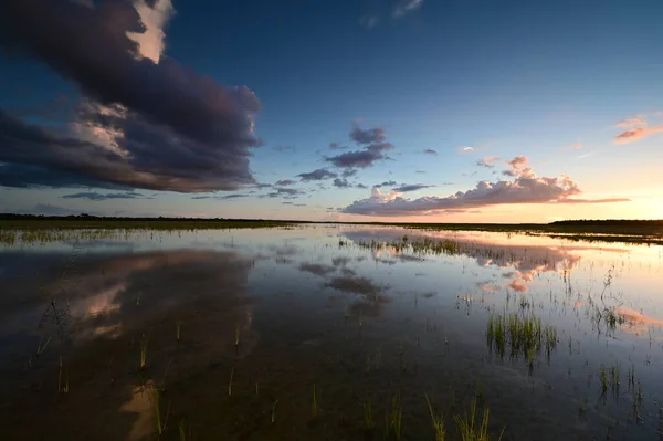 Paysage nuageux estival sur le projet de restauration de l'habitat dans le parc national des Everglades. — Photo