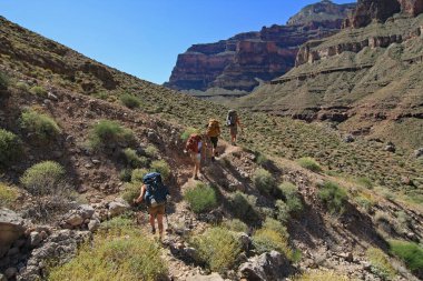 Grand Canyon Ulusal Parkı 'nda gezginler..