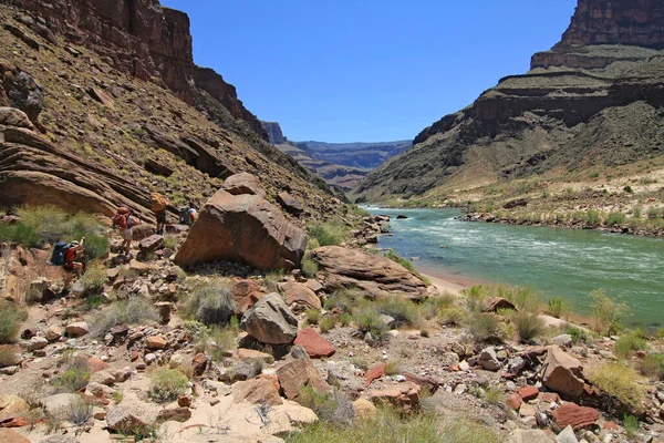 Büyük Kanyon 'daki Colorado Nehri' nin kıyısında gezginler.. — Stok fotoğraf