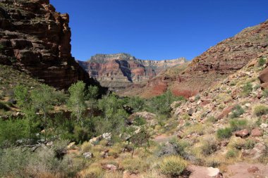 Grand Canyon NP 'deki Yukarı Tapeat Kamp alanındaki kanyon duvarlarının görüntüsü.