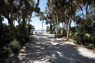 Florida Pinellas County 'deki Fort De Soto Park' ta gölgeli bir kamp alanı..