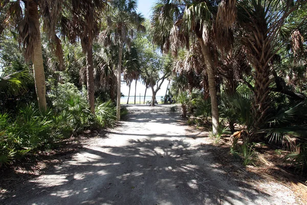 Camping de tente boisée ombragé dans le parc Fort De Soto dans le comté de Pinellas, Floride. — Photo