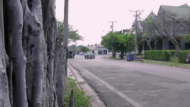 Havana Cuba 2019 Havana Street Miramar District — Stockvideo