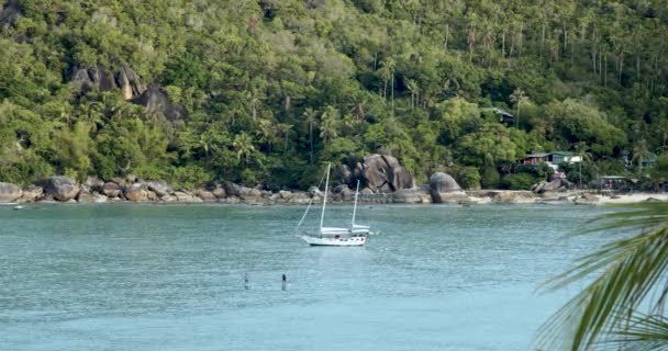 Vista Das Montanhas Para Bela Baía Koh Samui — Vídeo de Stock