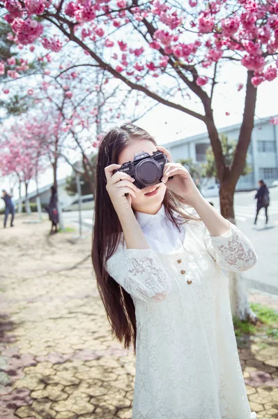 young asian woman in Cherry Blossom garden