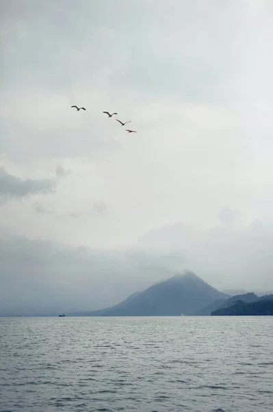 flying boat in the sea.