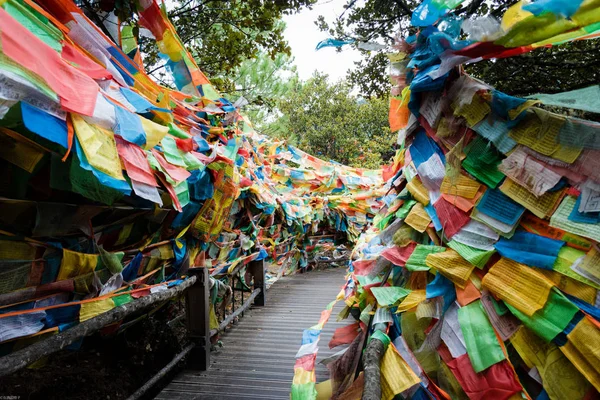 Colorful Umbrella City Bangkok Thailand — Stock Photo, Image