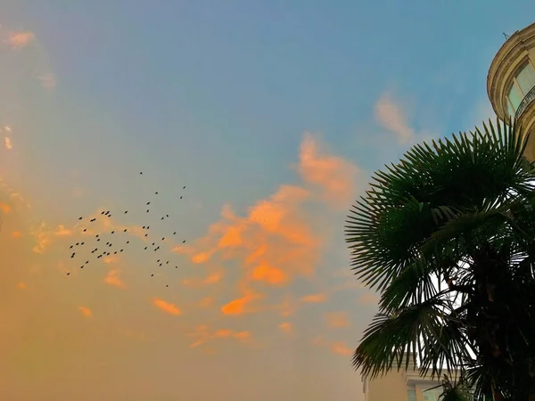 Hermoso Atardecer Tropical Sobre Cielo — Foto de Stock