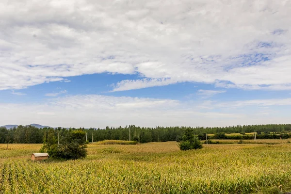 Beautiful scenery of rural area