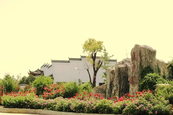 beautiful landscape with a church and a flower