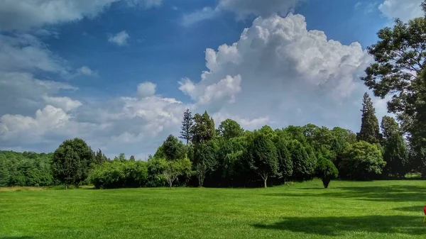 green grass and blue sky with clouds