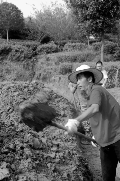 Black and white image of farmer working outdoor