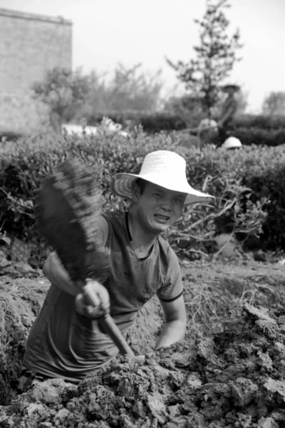 Black and white image of farmer working outdoor