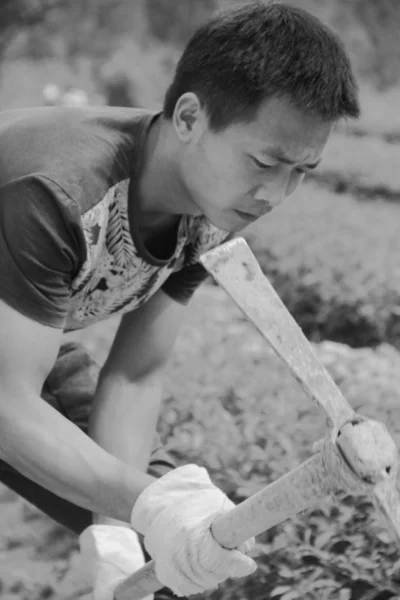 Black and white image of farmer working outdoor