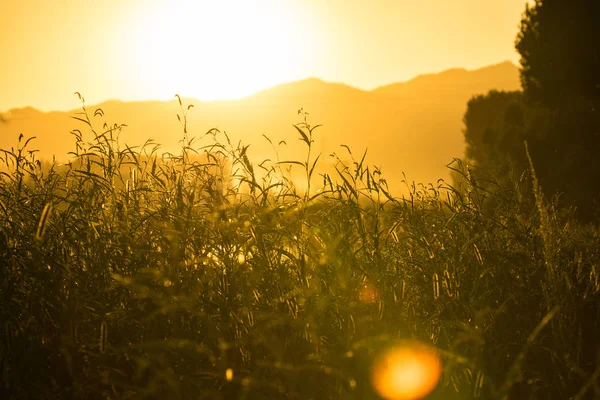 Vista Del Hermoso Amanecer — Foto de Stock