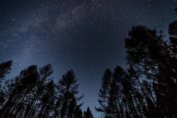 Cielo Nocturno Estrellado Con Estrellas Brillantes Astronomía — Foto de Stock