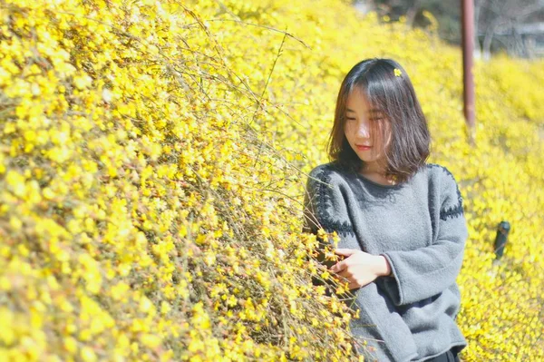 Asiática Estudante Posando Perto Flores Amarelas — Fotografia de Stock