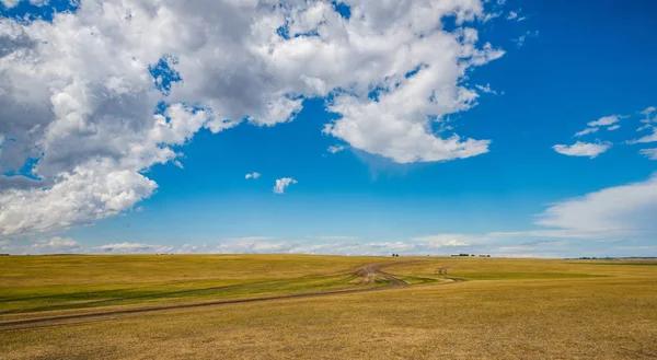 Beautiful scenery of rural area