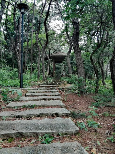 Viejo Banco Madera Parque — Foto de Stock