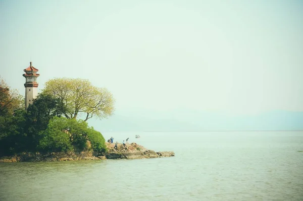 vintage landscape with sea and tree