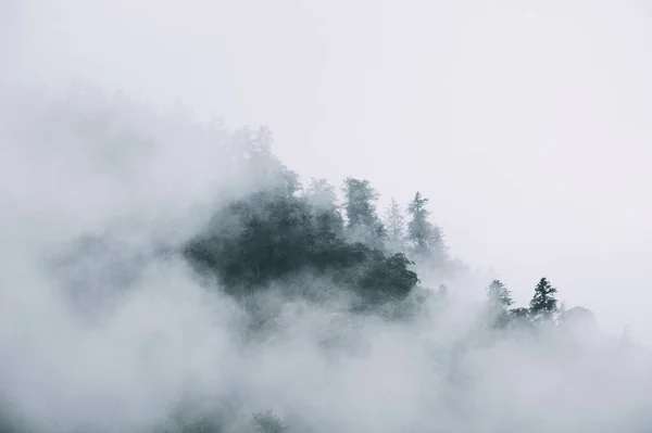 Wunderschöne Majestätische Berglandschaft — Stockfoto