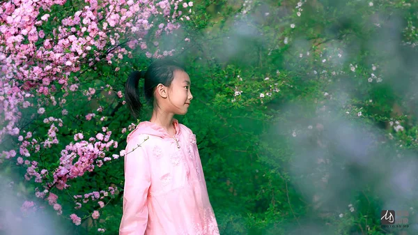 Mooi Meisje Roze Jurk Staan Het Park — Stockfoto