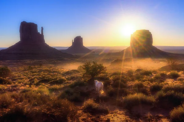 Sonnenuntergang Bei Sonnenaufgang Morgen — Stockfoto