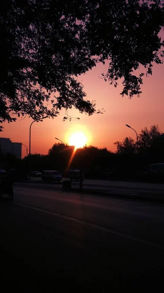 Hermoso Atardecer Parque — Foto de Stock