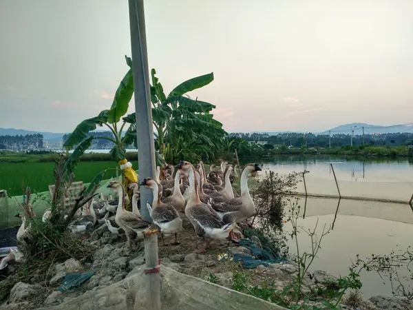 Hermosa Vista Del Lago Ciudad Tailandia — Foto de Stock