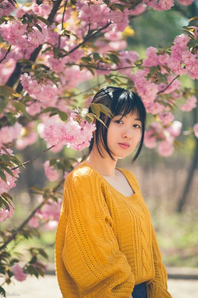 Kiraz Ağacı Ile Poz Asyalı Kız — Stok fotoğraf