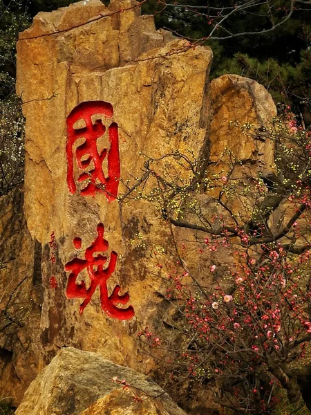 Señal Roja Camino Bosque — Foto de Stock