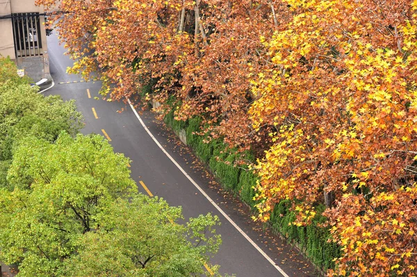 beautiful road in autumn park.