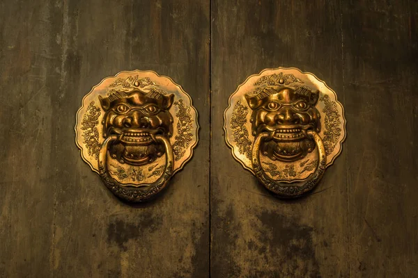 Lion Head Wood Door — Stock Photo, Image