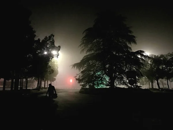 Silueta Hombre Una Mujer Caminando Por Parque — Foto de Stock