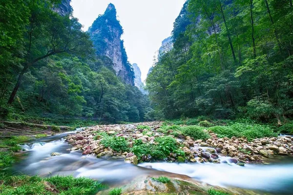 Όμορφο Φυσικό Τοπίο Των Βουνών Zhangjiajie — Φωτογραφία Αρχείου